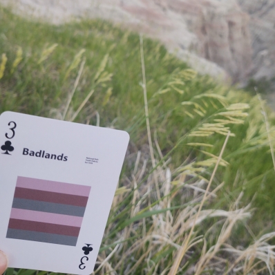 playing card in front of tall grass at Badlands National Park
